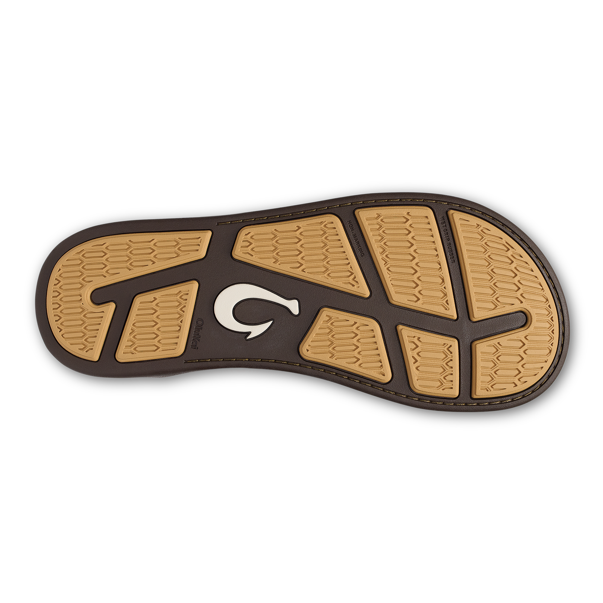 Tuahine Palm  -  Dk Java / Golden Sand