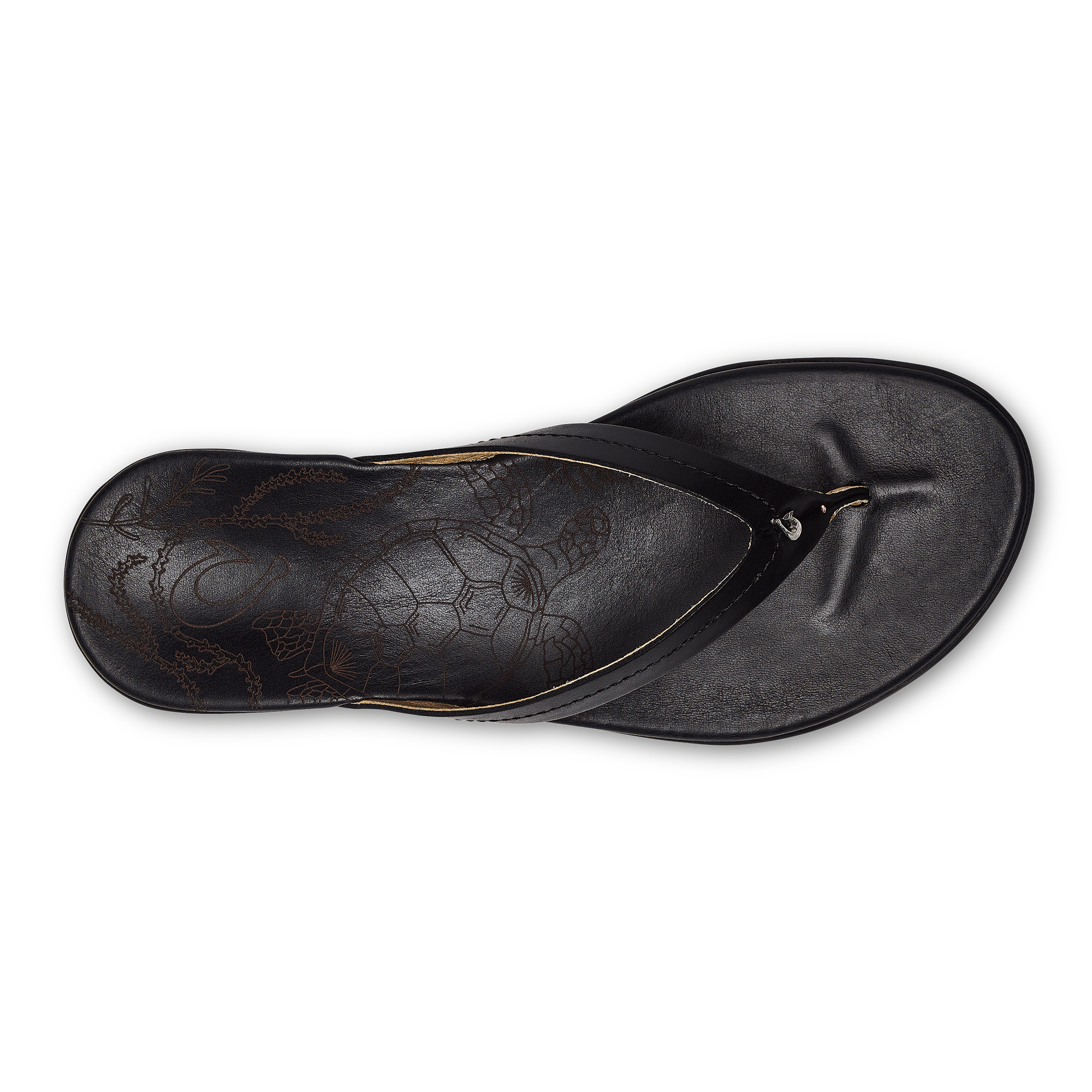 Honu - Black