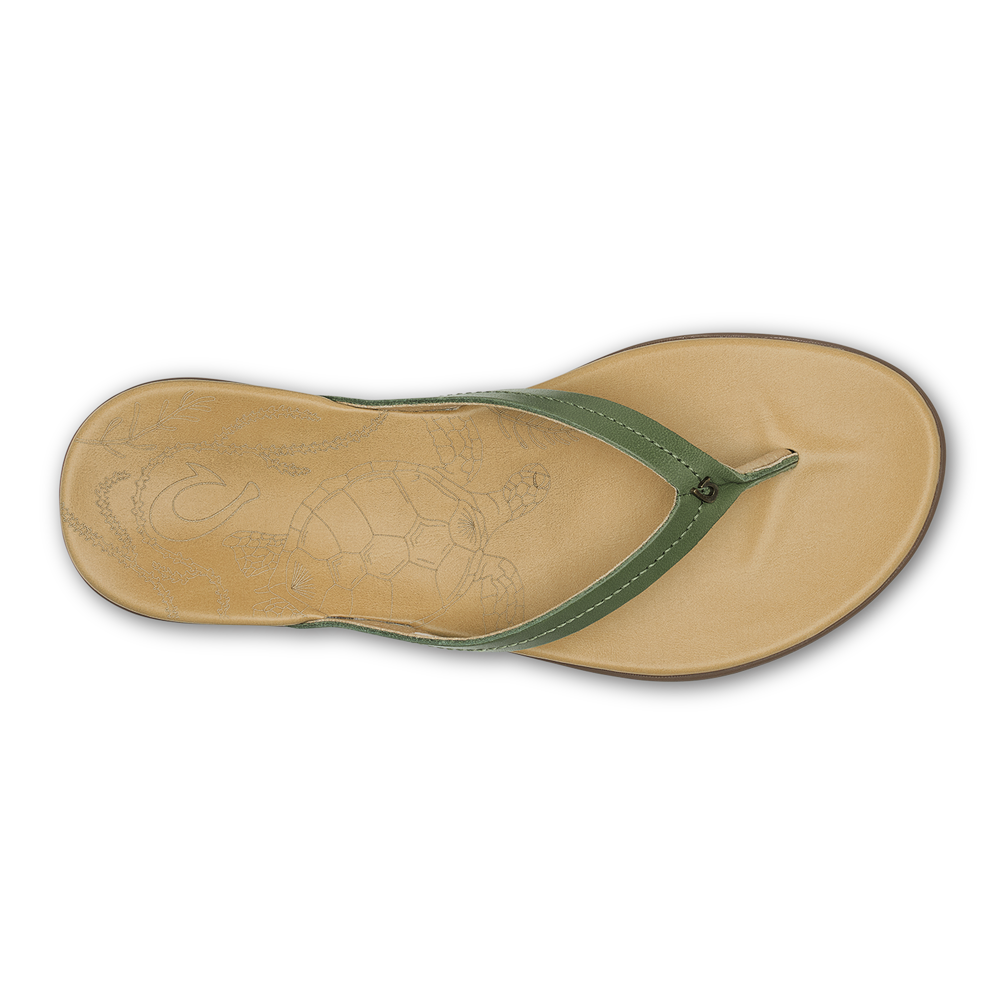 Honu  -  Green Olive / Golden Sand